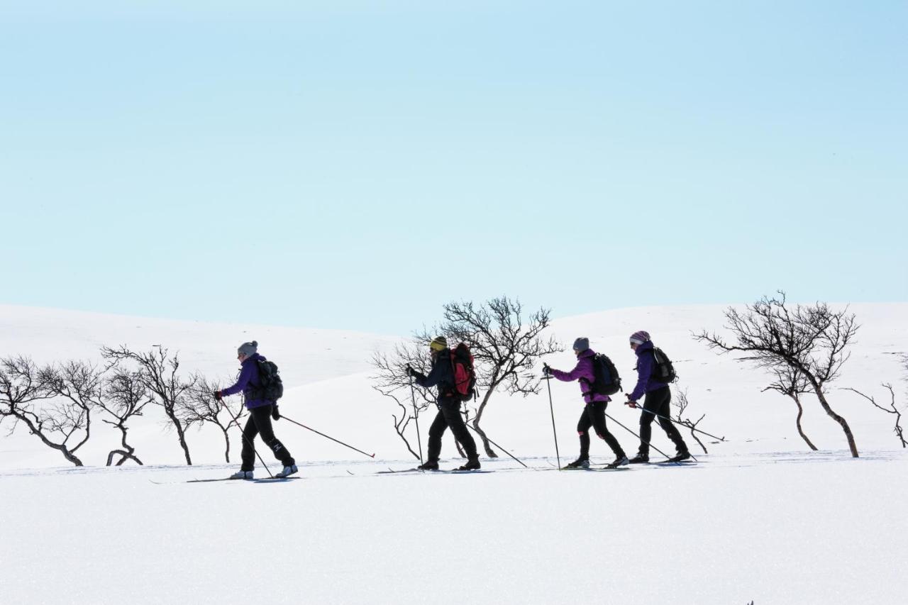 Wilderness Hotel Muotka & Igloos Saariselka Luaran gambar